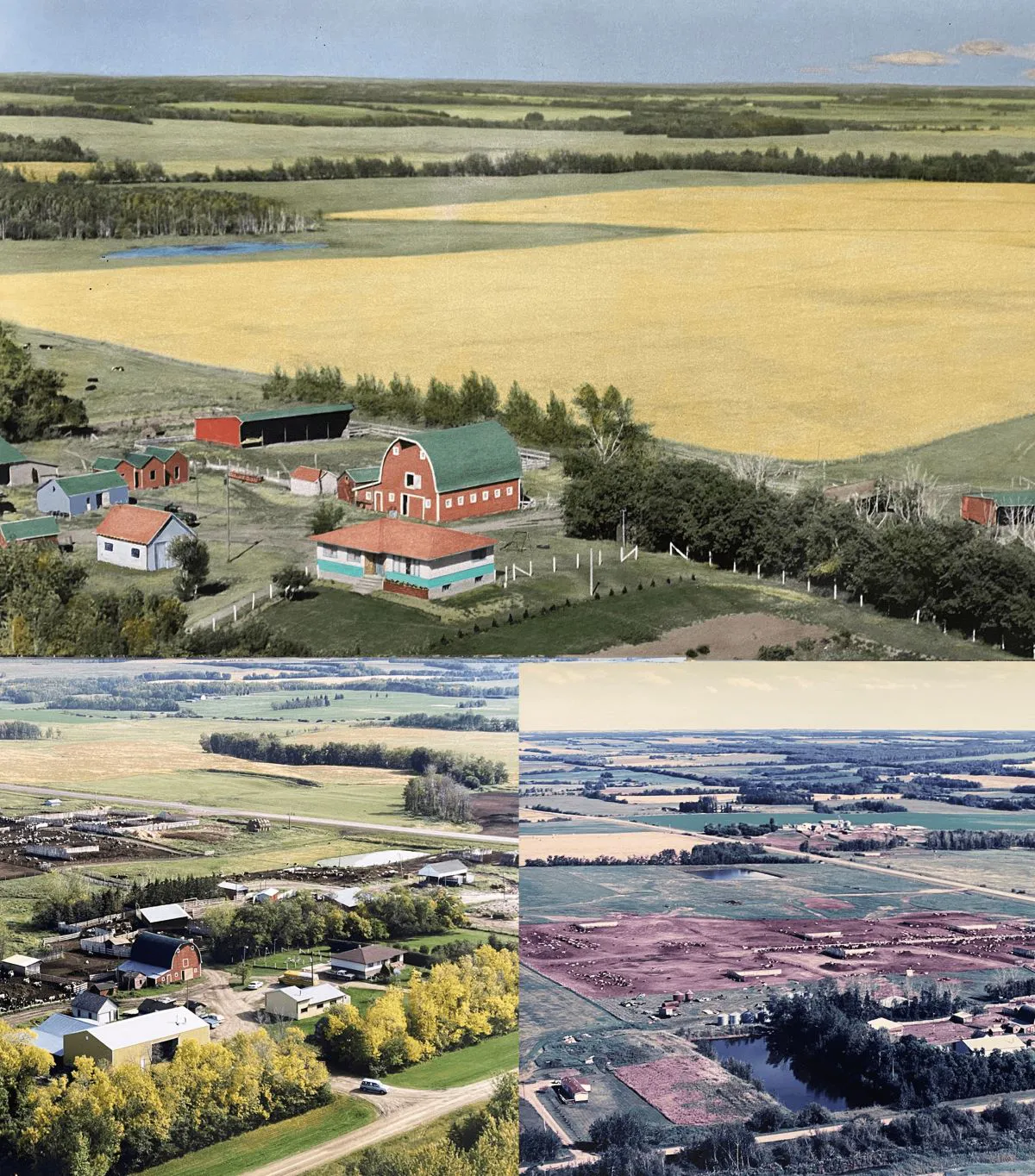 1986